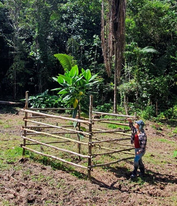 The Other Side of Reforestation